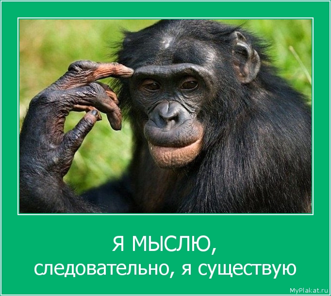 Я МЫСЛЮ, следовательно, я существую