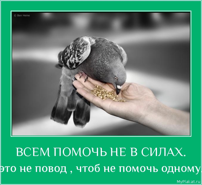 ВСЕМ ПОМОЧЬ НЕ В СИЛАХ. это не повод , чтоб не помочь одному.