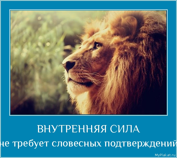 ВНУТРЕННЯЯ СИЛА не требует словесных подтверждений