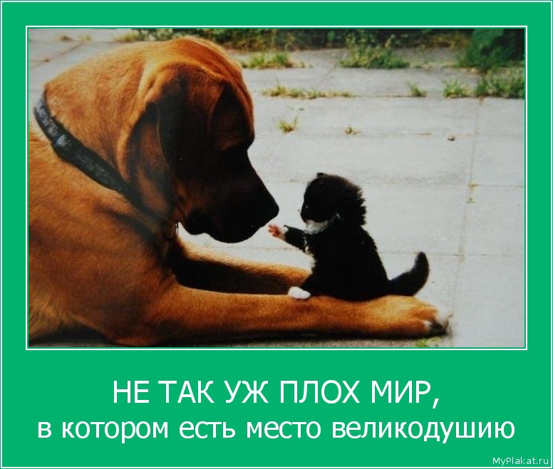 НЕ ТАК УЖ ПЛОХ МИР, в котором есть место великодушию