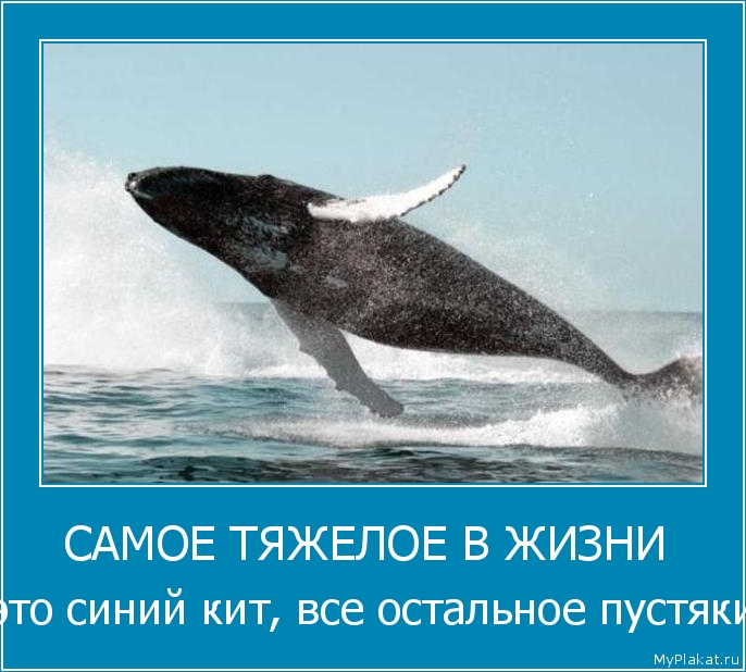 САМОЕ ТЯЖЕЛОЕ В ЖИЗНИ  это синий кит, всё остальное пустяки