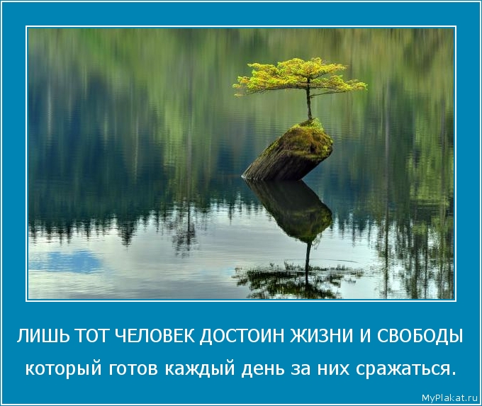 ЛИШЬ ТОТ ЧЕЛОВЕК ДОСТОИН ЖИЗНИ И СВОБОДЫ который готов каждый день за них сражаться.