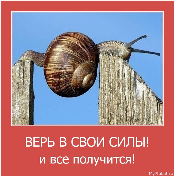 ВЕРЬ В СВОИ СИЛЫ! и всё получится!