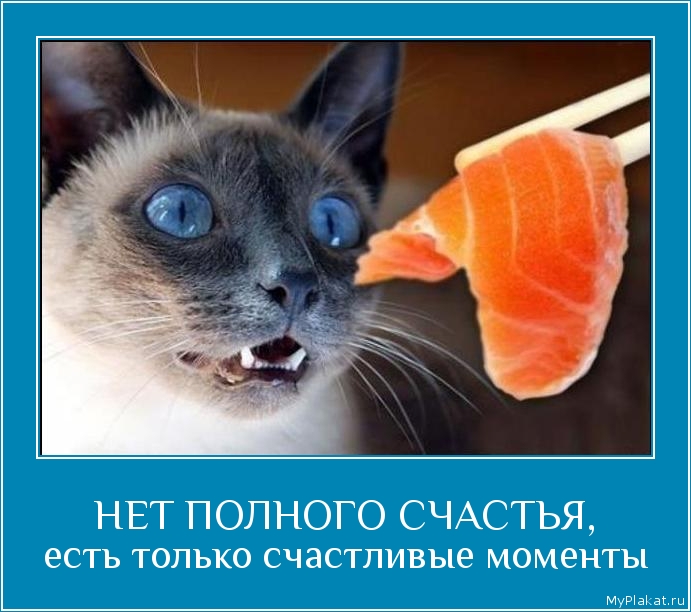 НЕТ ПОЛНОГО СЧАСТЬЯ, есть только счастливые моменты