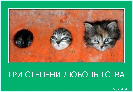 ТРИ СТЕПЕНИ ЛЮБОПЫТСТВА 