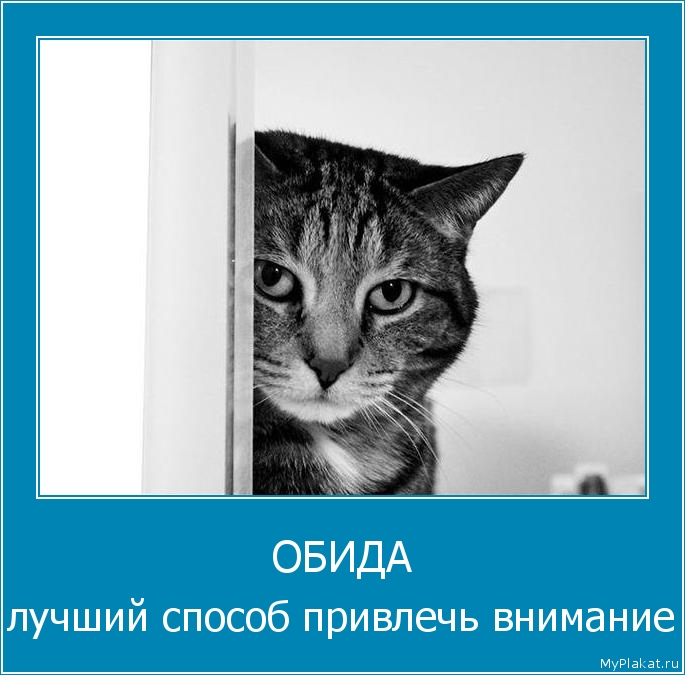 ОБИДА лучший способ привлечь внимание