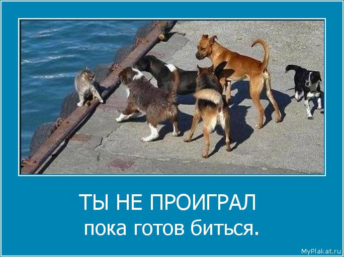 ТЫ НЕ ПРОИГРАЛ  пока готов биться.