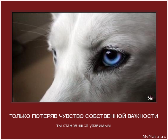 ТОЛЬКО ПОТЕРЯВ ЧУВСТВО СОБСТВЕННОЙ ВАЖНОСТИ ты становишся уязвимым