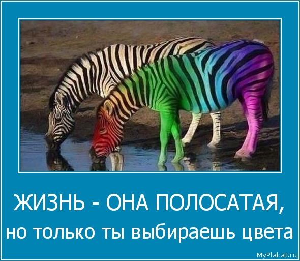 ЖИЗНЬ - ОНА ПОЛОСАТАЯ, но только ты выбираешь цвета