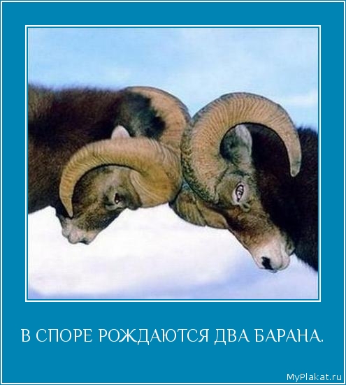 В СПОРЕ РОЖДАЮТСЯ ДВА БАРАНА. 
