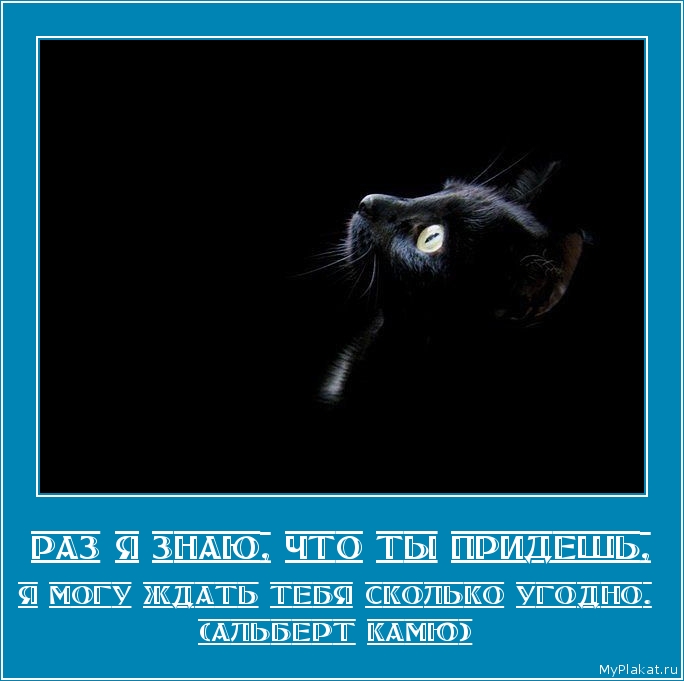 РАЗ Я ЗНАЮ, ЧТО ТЫ ПРИДЕШЬ, я могу ждать тебя сколько угодно. (Альберт Камю)
