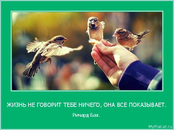 ЖИЗНЬ НЕ ГОВОРИТ ТЕБЕ НИЧЕГО, ОНА ВСЕ ПОКАЗЫВАЕТ. Ричард Бах.