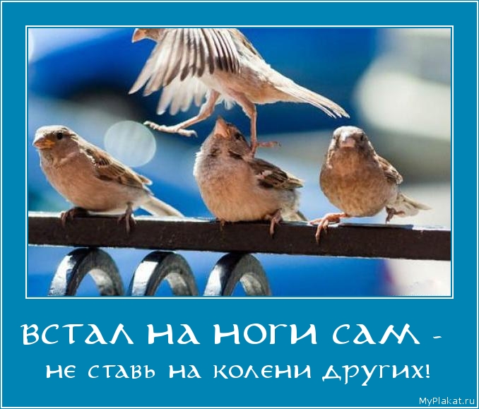 ВСТАЛ НА НОГИ САМ -  не ставь на колени других!
