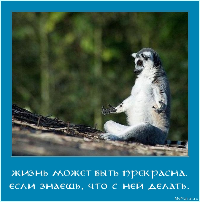 ЖИЗНЬ МОЖЕТ БЫТЬ ПРЕКРАСНА, если знаешь, что с ней делать.