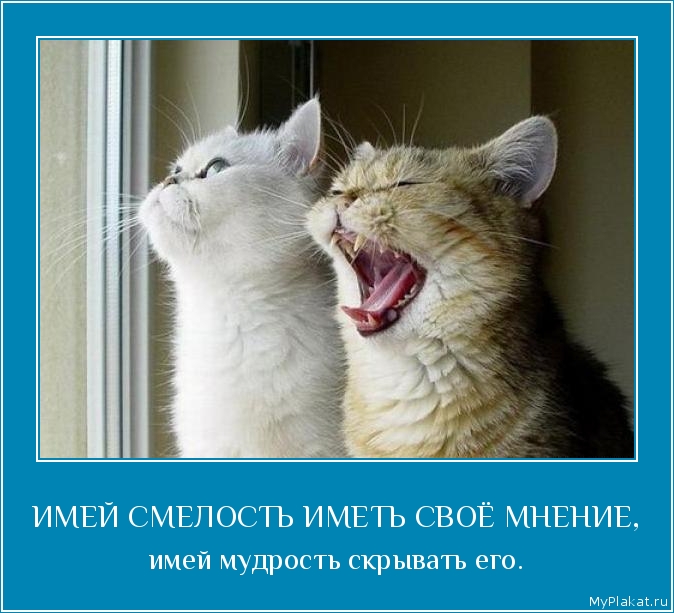 ИМЕЙ СМЕЛОСТЬ ИМЕТЬ СВОЁ МНЕНИЕ, имей мудрость скрывать его.