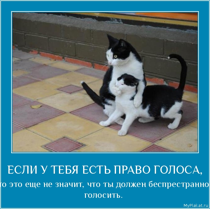 ЕСЛИ У ТЕБЯ ЕСТЬ ПРАВО ГОЛОСА, то это ещё не значит, что ты должен беспрестранно голосить.