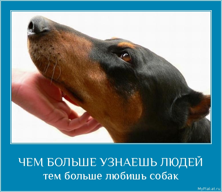 ЧЕМ БОЛЬШЕ УЗНАЕШЬ ЛЮДЕЙ тем больше любишь собак