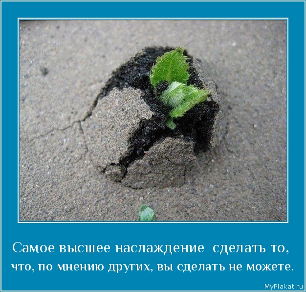 Самое высшее наслаждение  сделать то,  что, по мнению других, вы сделать не можете.