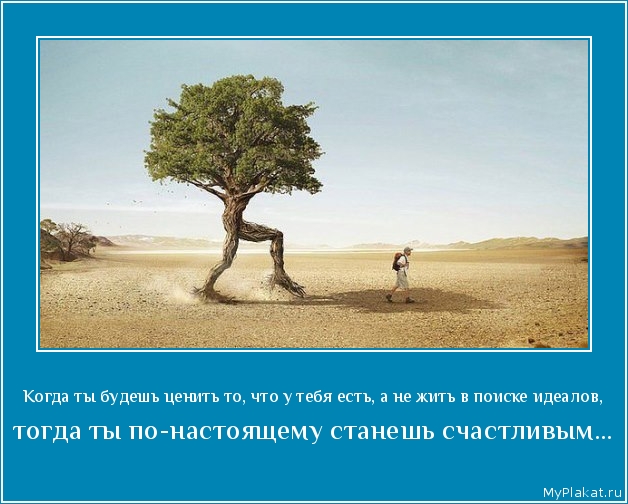 Когда ты будешь ценить то, что у тебя есть, а не жить в поиске идеалов,  тогда ты по-настоящему станешь счастливым...