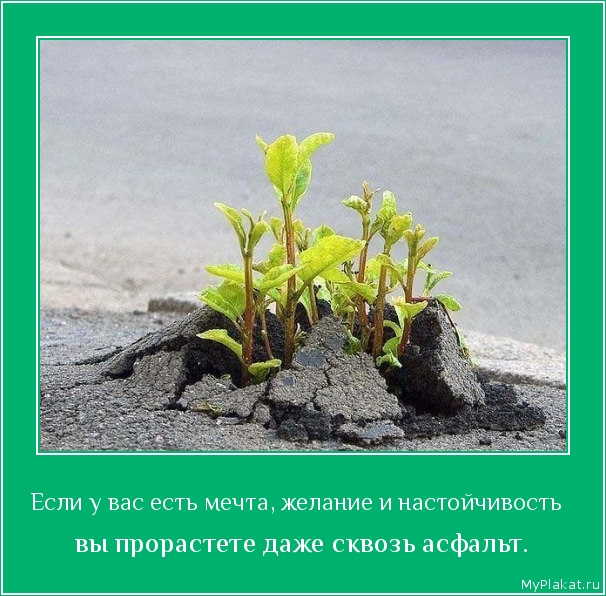 Если у вас есть мечта, желание и настойчивость   вы прорастете даже сквозь асфальт.