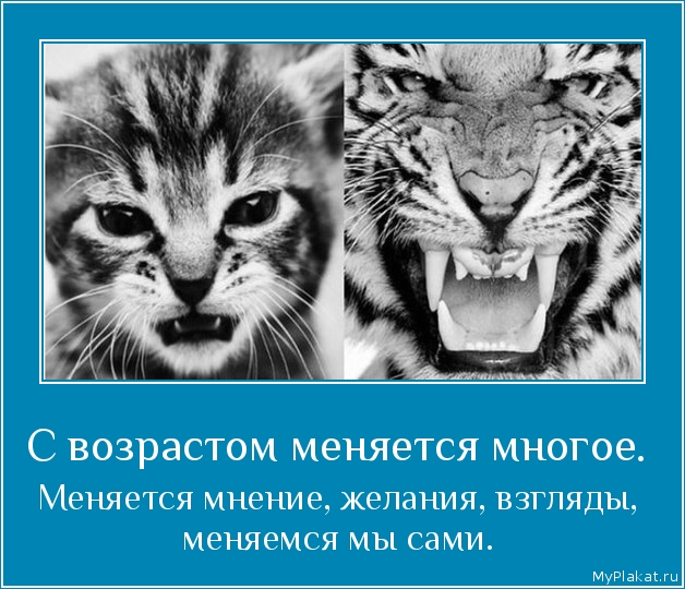 С возрастом меняется многое.  Меняется мнение, желания, взгляды, меняемся мы сами.