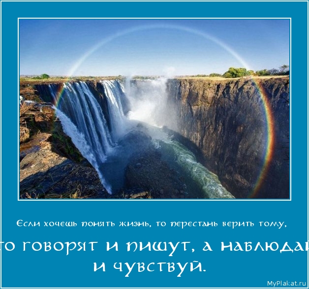 Если хочешь понять жизнь, то перестань верить тому,  что говорят и пишут, а наблюдай и чувствуй.