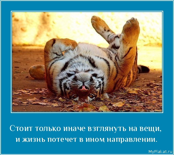 Стоит только иначе взглянуть на вещи,  и жизнь потечёт в ином направлении.