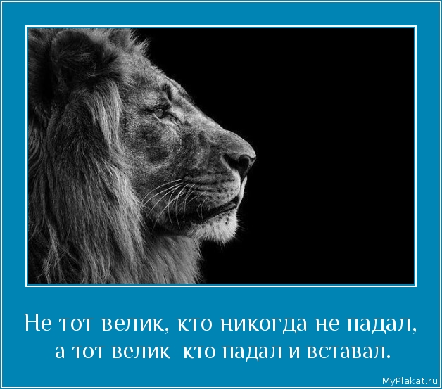 Не тот велик, кто никогда не падал,  а тот велик  кто падал и вставал.