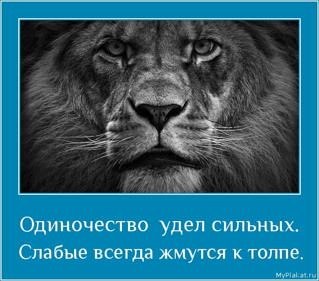 Одиночество  удел сильных.  Слабые всегда жмутся к толпе.