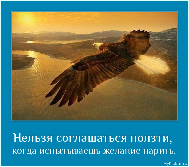 Нельзя соглашаться ползти,  когда испытываешь желание парить.