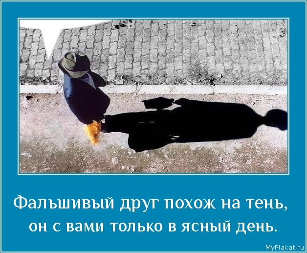 Фальшивый друг похож на тень,  он с вами только в ясный день.